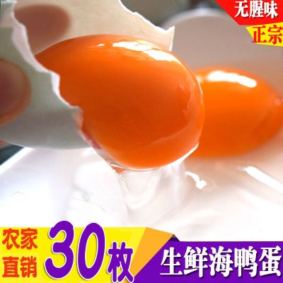赛卡伊 生海鸭蛋生鸭蛋新鲜鸭蛋红心正宗批发20-50枚散养