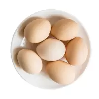 赛卡伊 微食馆20枚土鸡蛋农家散养新鲜土鸡蛋鲜鸡蛋草鸡蛋笨鸡蛋