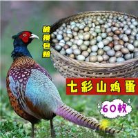 赛卡伊 散养新鲜野鸡蛋正宗七彩山鸡蛋农家绿壳蛋土鸡蛋当日一箱