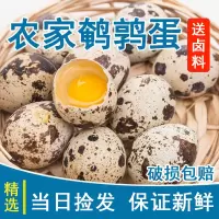 赛卡伊 新鲜生鹌鹑蛋100枚 破损包赔 生鲜蛋