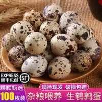 赛卡伊 新鲜鹌鹑蛋生鲜农家人正宗杂粮喂养辅食产地直发50枚