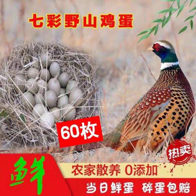 赛卡伊 热卖土鸡蛋农家正宗七彩山鸡蛋土鸡蛋新鲜30/60枚破损包赔