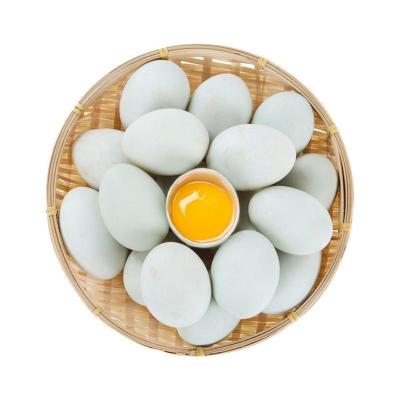 赛卡伊 超划算农家散养鸭蛋正宗批发营养价值高糖心每天新鲜发货红心鸭蛋