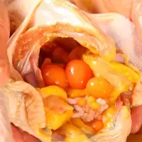 赛卡伊 发2只现杀阿坝州农家散养2-3年土老母鸡粮食鸡笨鸡顺丰空运 顺丰空运2只2年老母鸡共约5斤