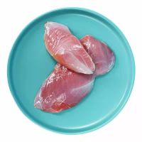 赛卡伊 []六合新鲜去皮鸭胸肉冷冻去皮鸭脯肉鸭肉瘦肉炒菜用 5斤鸭胸肉