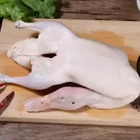 赛卡伊 鸭子 正宗农村散养鸭子新鲜现杀鸭肉白条鸭批发 推荐3.2斤左右鸭子[一只装]