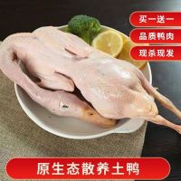 赛卡伊 鸭子农家散养土鸭笨鸭白条鸭新鲜鸭子肉整鸭冷冻生鲜批发 白条鸭[]实发2只