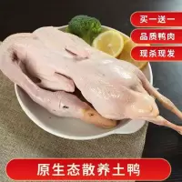 赛卡伊 鸭子农家散养土鸭笨鸭白条鸭新鲜鸭子肉整鸭冷冻生鲜批发 白条鸭[]实发2只
