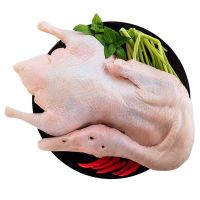 赛卡伊 鸭子农家散养土鸭笨鸭白条鸭新鲜鸭子肉整鸭冷冻生鲜批发 白条鸭[1只装] 特价