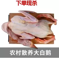 赛卡伊 (顺丰)农家散养新鲜大鹅超大鹅肉鹅掌大白鹅活体冷冻非老鹅 杀完5斤大白鹅