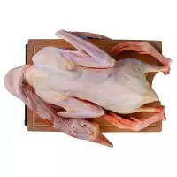 赛卡伊 农家散养鹅整只青年鹅嫩鹅土鹅笨鹅大白鹅批发滋补食材 4.5-5.5斤