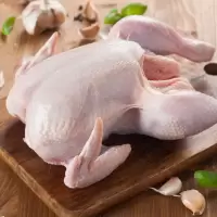 赛卡伊 [现杀现发]农家散养大白鹅老鹅土鹅青年鹅整只鲜活鹅鹅肉滋补 现杀现发(半年)净重8斤