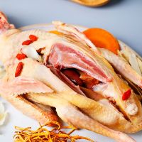 赛卡伊 [农家散养]鸽子肉新鲜现杀乳鸽子批发土鸽子汤鸽子肉生鲜 2只鸽散养一年以上(每只8两)