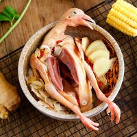 赛卡伊 [农家散养]鸽子肉新鲜现杀乳鸽子批发土鸽子汤三年老鸽子肉生鲜 乳鸽特惠装3只[每只净重350g]