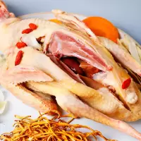 赛卡伊 [农家散养]鸽子肉新鲜现杀乳鸽子批发土鸽子汤鸽子肉生鲜 乳鸽试吃装1只[净重6两]