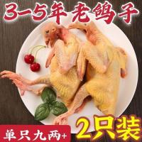 赛卡伊 三年老鸽子新鲜乳鸽农家散养土鸽子肉活体现杀五谷杂粮营养补品 [五年老鸽]2只装净重九两以上
