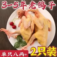 赛卡伊 三年老鸽子新鲜乳鸽农家散养土鸽子肉活体现杀五谷杂粮营养补品 [宰杀三年老鸽子]2只装(单只八两)
