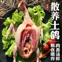 赛卡伊 新鲜农家散养现杀土鸽子烤乳鸽老鸽子活体杂粮喂养鸽子肉生鲜肉鸽 精选:乳鸽3只[单只7-8两]送料包