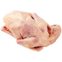 赛卡伊 新鲜冷冻乳鸽肉 农家散养肉鸽子活体老鸽子肉生鲜现杀 5只装 单只300克以上80.8