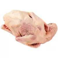 赛卡伊 新鲜冷冻乳鸽肉 农家散养肉鸽子活体老鸽子肉生鲜现杀 5只装 单只300克以上80.8