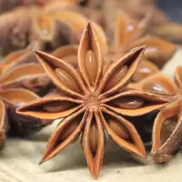 赛卡伊 [足干]正宗八角大料卤料非十三香调味料花椒桂皮胡椒50克起