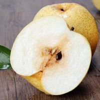 赛卡伊 梨子新鲜 当季整箱梨皇冠梨酥脆青梨香甜 应季水果梨斤