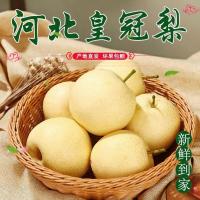 赛卡伊 梨子皇冠梨新鲜水果非雪梨酥梨鸭梨农家自产薄皮应季