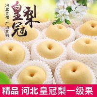 赛卡伊 皇冠梨10斤整箱新鲜水果梨子 当季雪梨 梨酥梨