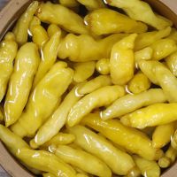 赛卡伊 泡椒小米辣泡椒野山椒剁椒泡凤爪调料开味超爽口泡菜家庭商用批发 5斤*1袋