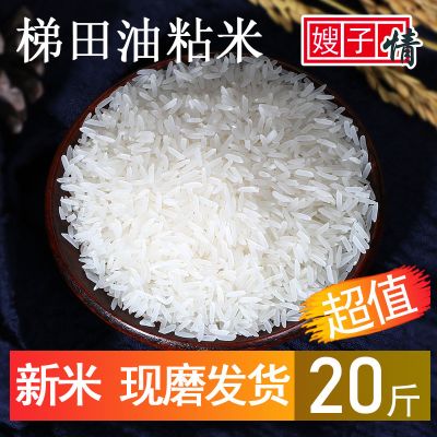 赛卡伊 大米 梯田油粘米10kg农家自产长粒香大米新米现磨