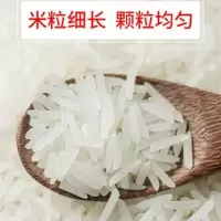 赛卡伊 云南 软米软88遮放贡米稻花香小软米5/10斤20斤长粒软大米