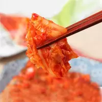 赛卡伊 泡菜辣白菜泡菜咸菜批发下饭菜辣白菜 9斤辣白菜免切