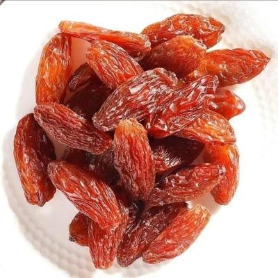 赛卡伊 新疆吐鲁番特产免洗大颗粒红香妃葡萄干提子干休闲干果零食