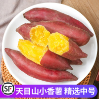赛卡伊 中号5斤 临安天目山小香薯正宗板栗红薯新鲜番薯地瓜黄心蜜薯山芋