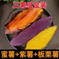 赛卡伊 [红薯组合]新鲜番薯地瓜板栗紫薯烟薯25号糖心蜜薯3/9斤