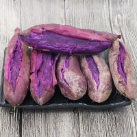 赛卡伊 紫薯新鲜番薯 批发农家蜜薯地瓜板栗沙地红薯3斤
