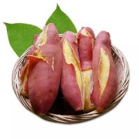 赛卡伊 板栗红薯新鲜地瓜番薯山芋 非金手指香薯软糯甜蜜薯