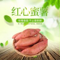 赛卡伊 凡澄燕农产品红薯蜜薯2斤新鲜应季红心地瓜蜜薯番薯
