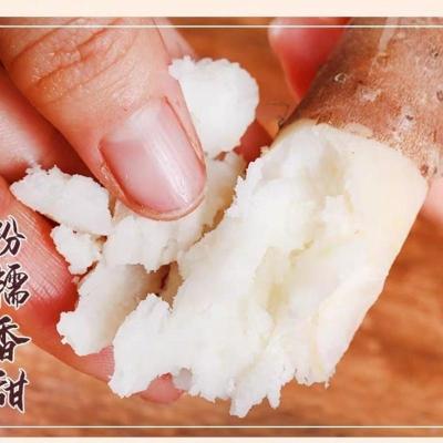 赛卡伊 保真正宗铁棍山药焦作垆土淮山新鲜现挖铁杆山药粉糯多斤