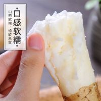 赛卡伊 正宗粉糯山药铁棍山药麻山药新鲜蔬菜小白嘴多规格可选2/3/5斤装