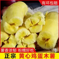 赛卡伊 黄木薯10斤现挖新鲜黄心木蜜薯板栗黄肉鸡蛋面包粉糯1斤