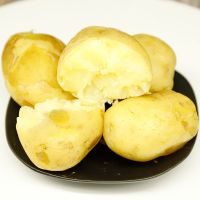 赛卡伊 [超低价]莱芜特产黄心土豆新鲜农家现挖现发食用