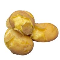 赛卡伊 甘肃定西土豆新鲜黄心沙面粉糯大土豆高山洋芋农家自种马铃薯