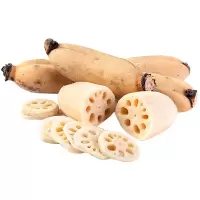 赛卡伊 农家新鲜莲藕现挖煲汤粉藕面藕脆藕嫩莲藕片藕新鲜藕食用生吃凉拌 5斤新鲜脆藕[小藕]