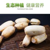 赛卡伊 新鲜莲藕粉藕糯米蔬菜本地现挖农家九孔煲汤炖汤三斤实惠装(足称)