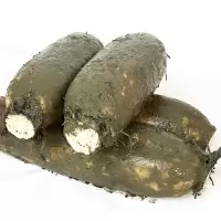 赛卡伊 洪湖新鲜煲汤面莲藕农家现挖现发带泥巴九孔粉糯嘉鱼特产鲜藕 3斤精选面藕(3-5个)
