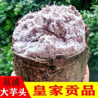 赛卡伊 新鲜大芋头现挖正宗粉香芋槟榔芋紫藤毛芋蔬菜批发