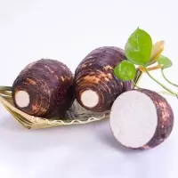 赛卡伊 正宗芋头新鲜现挖当季农家蔬菜紫藤槟榔香芋特产批发