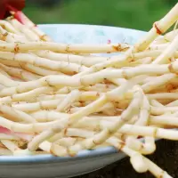 赛卡伊 新鲜蔬菜鱼腥草折耳根种子农家侧耳根嫩根节节根现挖鱼香草