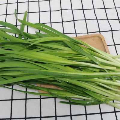 赛卡伊 新鲜头茬韭菜现割现发露天嫩韭菜1/2/3/4/5斤